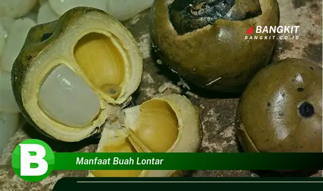 Temukan Manfaat Buah Lontar yang Wajib Kamu Tahu