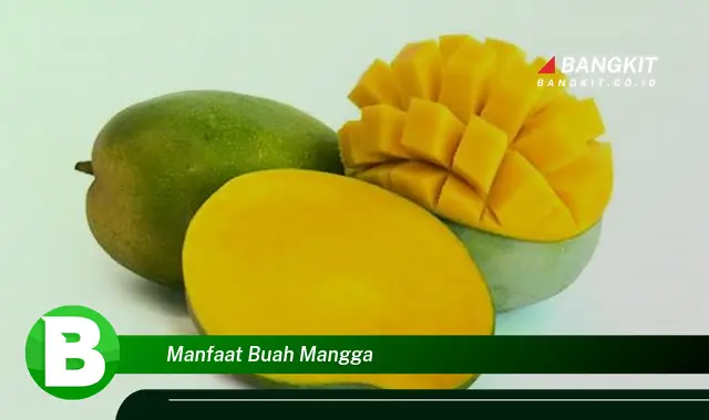 Temukan Manfaat Buah Mangga yang Wajib Kamu Tau