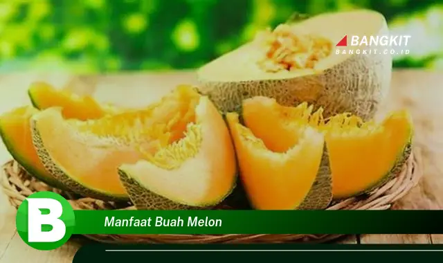 Ketahui Manfaat Buah Melon yang Wajib Kamu Intip