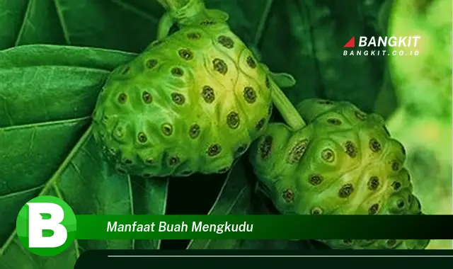 Ketahui Manfaat Buah Mengkudu yang Wajib Kamu Tau