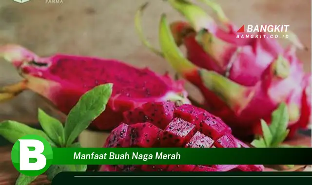 Ketahui Manfaat Buah Naga Merah yang Bikin Kamu Penasaran