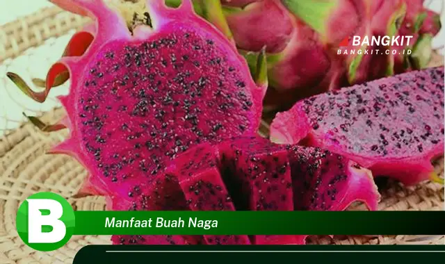 Ketahui Manfaat Buah Naga yang Bikin Kamu Penasaran