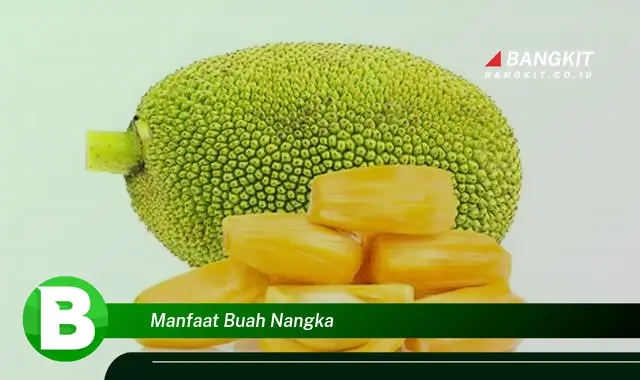 Ketahui Manfaat Buah Nangka yang Bikin Kamu Penasaran