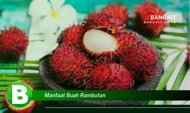 Intip Manfaat Buah Rambutan yang Wajib Kamu Tahu