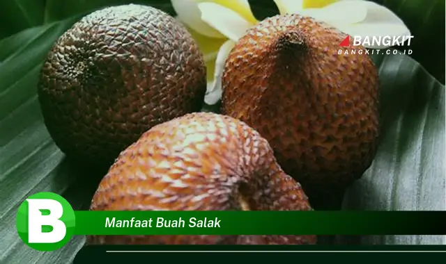 Temukan Manfaat Buah Salak yang Bikin Kamu Penasaran!