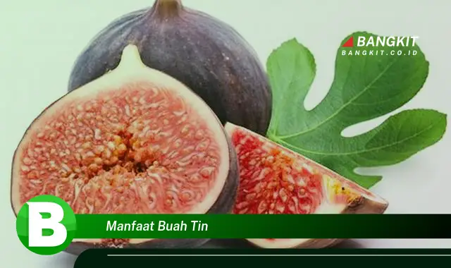 Temukan Manfaat Buah Tin yang Bikin Kamu Penasaran