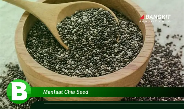 Ketahui Manfaat Chia Seed yang Bikin Kamu Penasaran