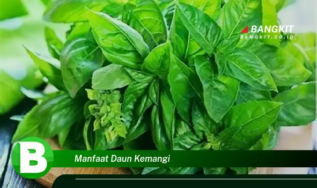 Intip Manfaat Daun Kemangi yang Wajib Kamu Intip