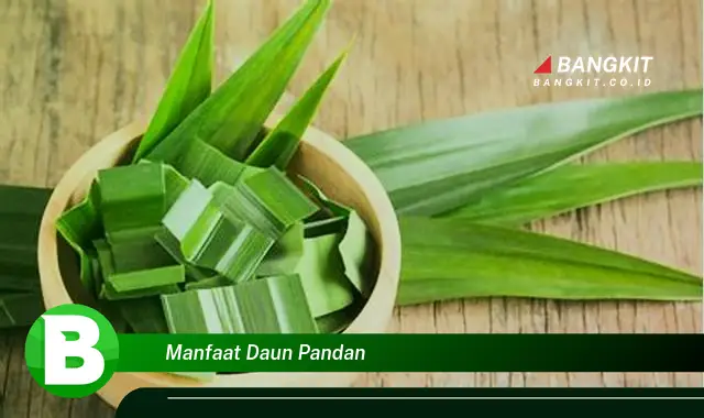 Ketahui Manfaat Daun Pandan yang Bikin Kamu Penasaran