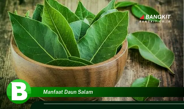 Temukan Manfaat Daun Salam yang Bikin Kamu Penasaran