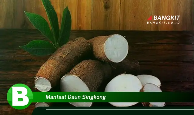 Intip Manfaat Daun Singkong yang Bikin Kamu Penasaran!