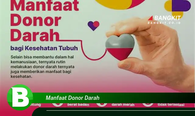 Intip Manfaat Donor Darah yang Bikin Kamu Penasaran!