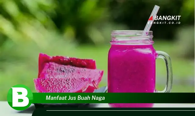 Temukan Manfaat Jus Buah Naga yang Bikin Kamu Penasaran