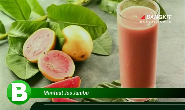 Ketahui Manfaat Jus Jambu yang Bikin Kamu Penasaran!