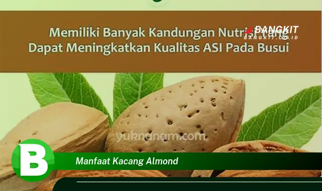 Intip Manfaat Kacang Almond yang Wajib Kamu Tau