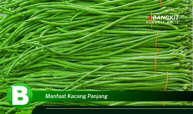 Temukan Manfaat Kacang Panjang yang Wajib Kamu Inti