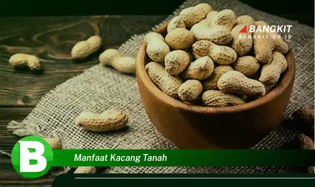 Ketahui Manfaat Kacang Tanah yang Bikin Kamu Penasaran