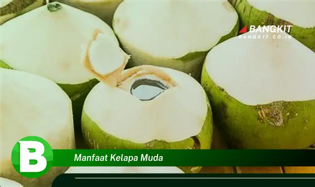 Ketahui Manfaat Kelapa Muda yang Bikin Kamu Penasaran