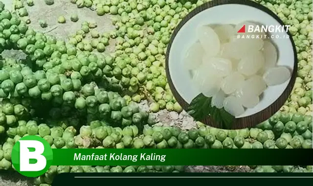 Temukan Manfaat Kolang Kaling yang Wajib Kamu Tahu