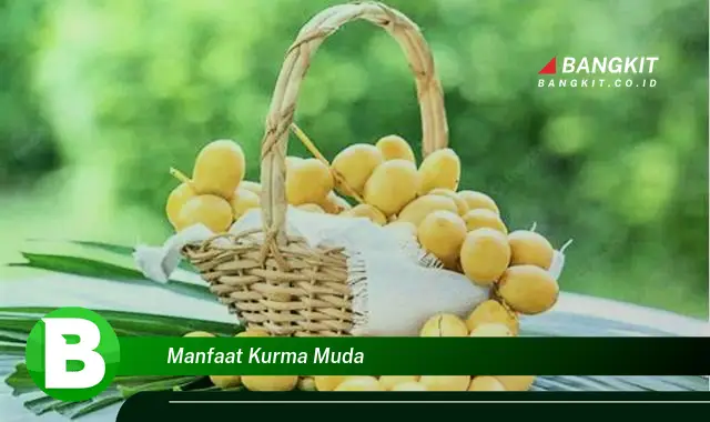 Temukan Manfaat Kurma Muda yang Bikin Kamu Penasaran