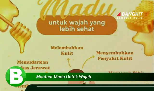 Intip Manfaat Madu untuk Wajah yang Wajib Kamu Tahu