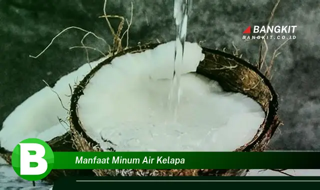 Intip Manfaat Minum Air Kelapa yang Bikin Kamu Penasaran