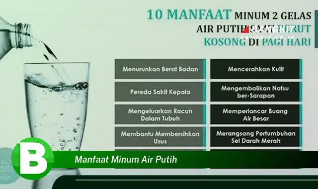 Temukan Manfaat Minum Air Putih yang Bikin Kamu Penasaran