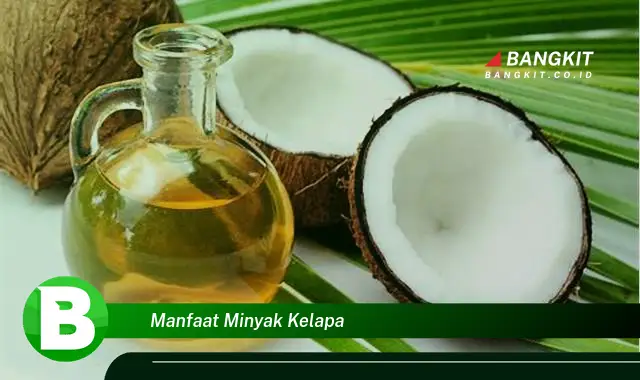 Ketahui Manfaat Minyak Kelapa yang Bikin Kamu Penasaran