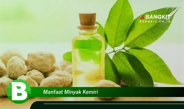 Ketahui Manfaat Minyak Kemiri yang Bikin Kamu Penasaran