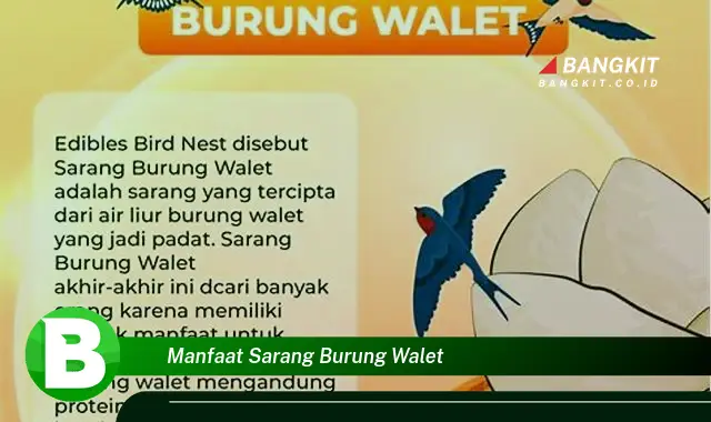 Temukan Manfaat Sarang Burung Walet yang Bikin Kamu Penasaran