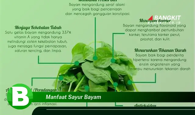 Intip Manfaat Sayur Bayam yang Bikin Kamu Penasaran!