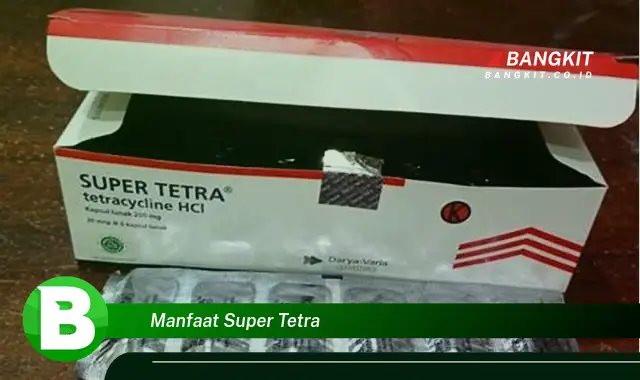 Temukan Manfaat Super Tetra yang Bikin Kamu Penasaran