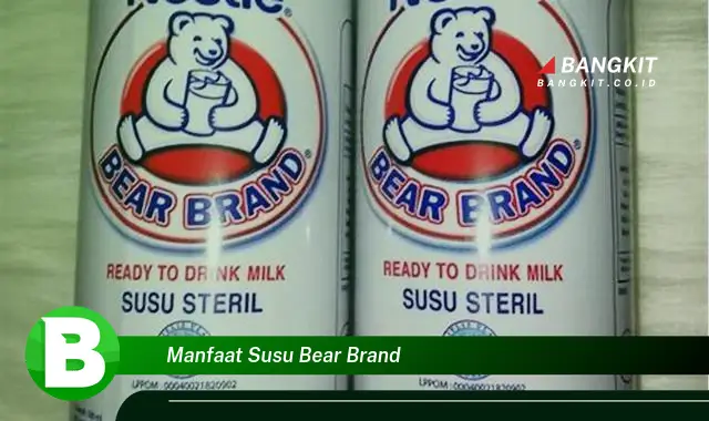 Temukan Manfaat Susu Bear Brand yang Wajib Kamu Intip