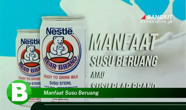 Temukan Manfaat Susu Beruang yang Wajib Kamu Intip!