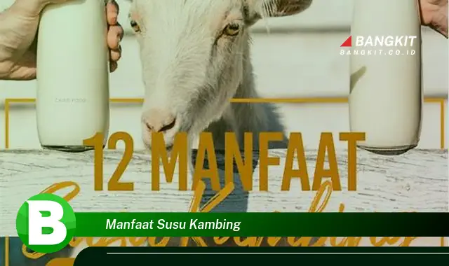 Temukan Manfaat Susu Kambing yang Bikin Kamu Penasaran