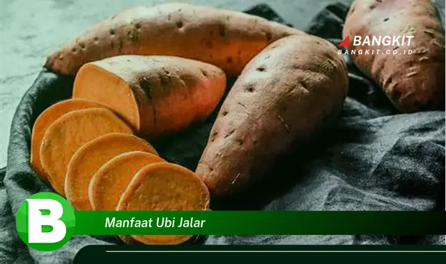 Ketahui Manfaat Ubi Jalar yang Wajib Kamu Tahu