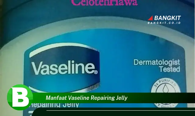 Intip Manfaat Vaseline Repairing Jelly yang Wajib Kamu Tau