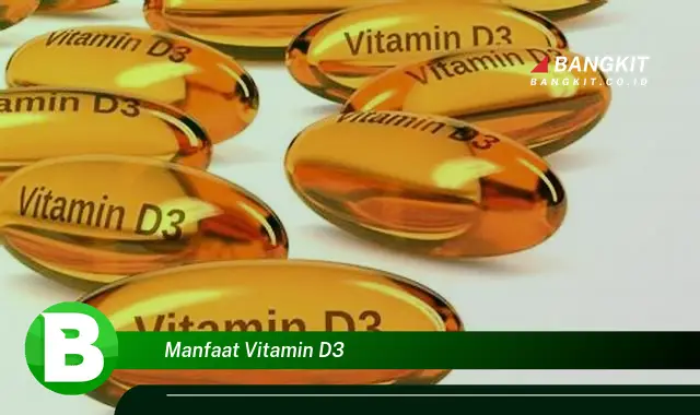 Intip Manfaat Vitamin D3 yang Wajib Kamu Ketahui