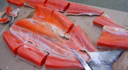 Manfaat Ikan Salmon Untuk Bayi Dan Anak