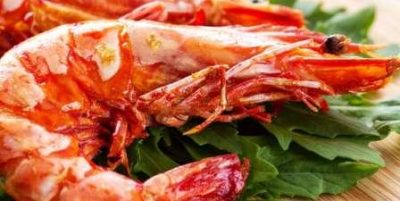 Manfaat Udang Bagi Kesehatan, Kandungan Gizi Untuk Tubuh - Bangkit