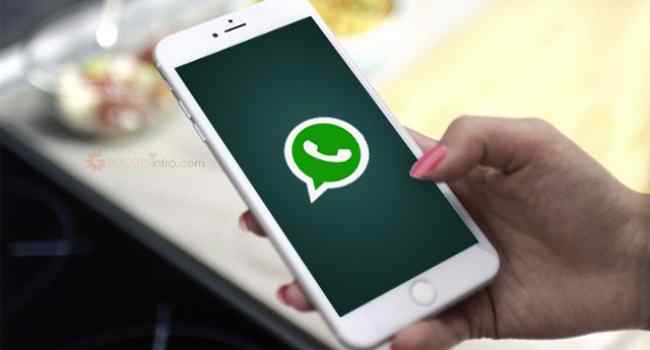 Akun Whatsapp Bisa Dihapus Jika Membagikan Berita Palsu