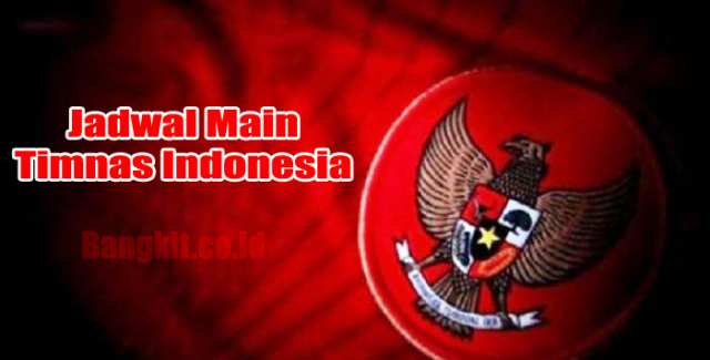 Jadwal Main Timnas Indonesia