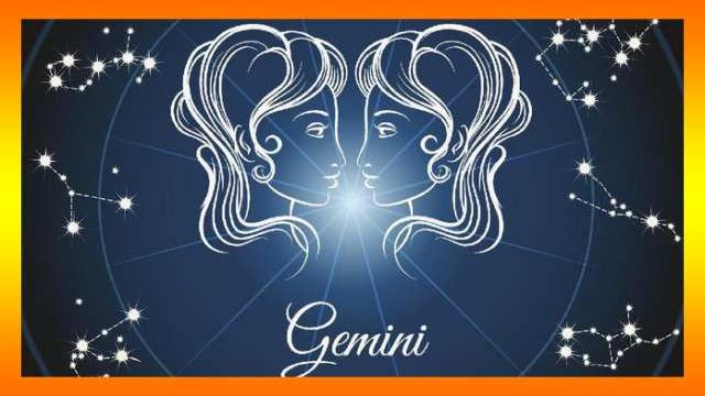 24++ Gambar hewan zodiak gemini new