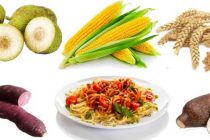 7 Makanan Pengganti Nasi Saat Melakukan Diet