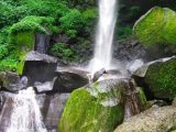 Air Terjun Coban Cemoro Gading Pasuruan Jawa Timur Air Terjun Coban Cemoro Gading Pasuruan Jawa Timur