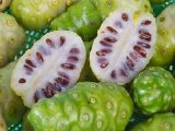 Perawatan Alami Buah Mengkudu Untuk Kecantikan Rambut Perawatan Alami Buah Mengkudu Untuk Kecantikan Rambut