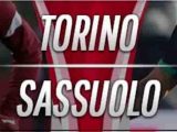 Prediksi Torino vs Sassuolo Prediksi Torino vs Sassuolo