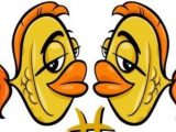 Ramalan Zodiak Pisces Januri Ramalan Zodiak Pisces Januri
